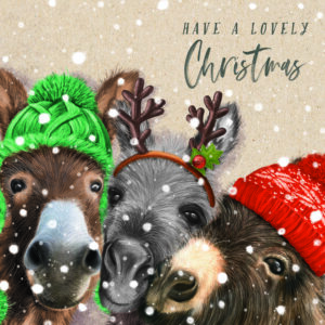 Three Festive Friends Christmas card